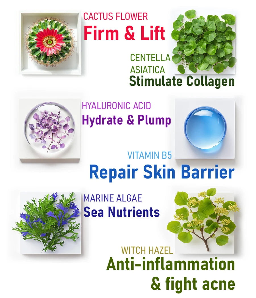 Sun Drops ingredients: Cactus Flower, Centella Asiatica, Hyaluronic Acid, Vitamin B5, Marine Algae, Witch Hazel